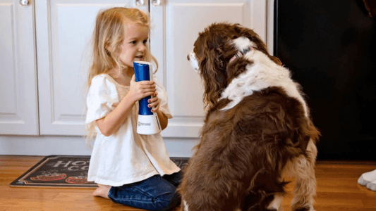 ผลิตภัณฑ์ระดับพรีเมียม